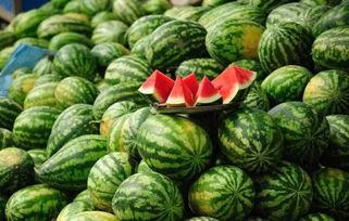 元谋今日三叶瓜行情,今日市场动态一览
