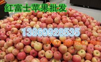 山东吊瓜今日行情如何了,涨跌互现，市场动态解析