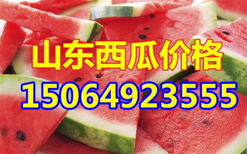 白瓜今日收购价,市场行情一览