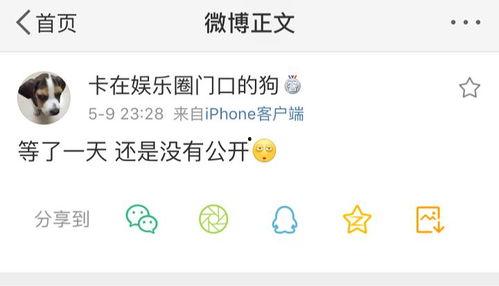 吃瓜是不是爆料,揭秘娱乐圈幕后真相