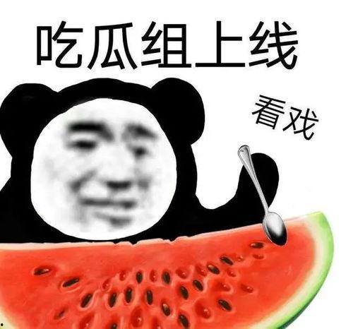 黑料吃瓜什么意思,网络时代下的八卦文化现象