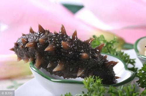 吃瓜爆料海参,一场关于滋补品的热议风暴