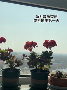 哈密瓜视频今日头条,揭秘瓜界新宠，带你领略哈密瓜的独特魅力