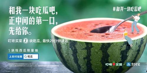 海口今日吃瓜新闻报道,今日新闻聚焦街头巷尾新鲜事
