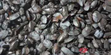 吃瓜黑科是什么意思,网络流行语的内涵与演变