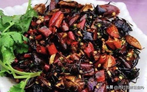 吃瓜黑科是什么意思,网络流行语的内涵与演变
