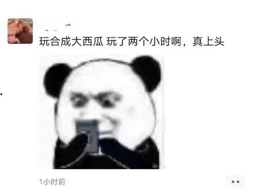 今日吃瓜视频热门大瓜每日,吃瓜群众聚焦惊天大瓜，揭秘娱乐圈惊人内幕！