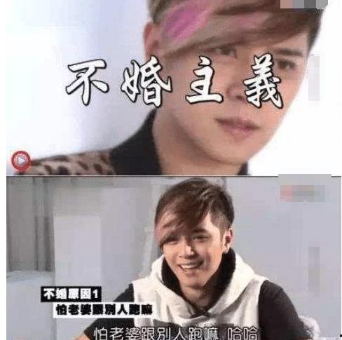 今日吃瓜罗志祥完整版,揭秘娱乐圈的“瓜田”风云
