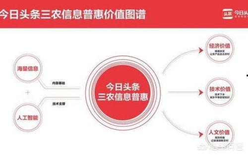 蜜瓜沙乡今日头条,探寻甜蜜之源，感受乡村新风尚