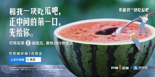 西昌今日吃瓜事件新闻,一场网络热议背后的真相揭秘