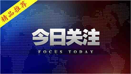 白瓜行情今日行情,涨跌波动，市场动态一览