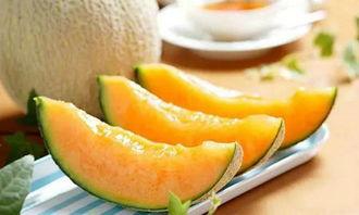 什么鱼吃黑蜜瓜最好养活