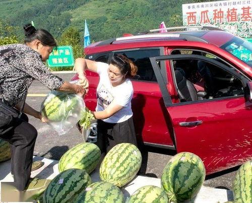 今日吃瓜群众聚集地,热点事件一网打尽