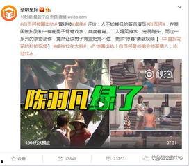 12点吃瓜爆料,揭秘娱乐圈最新热点事件