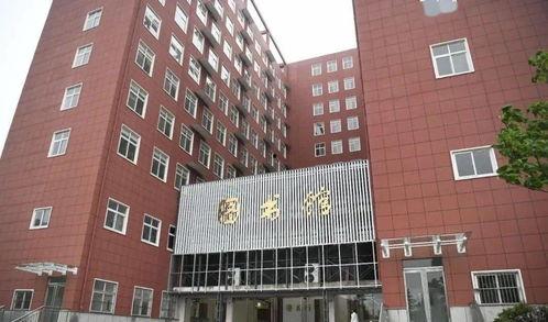 今日新鲜事今天开什瓜马,瓜马盛宴，开启夏日味蕾狂欢