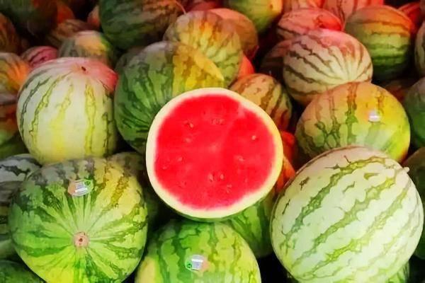 甜王瓜今日价格行情最新,今日行情一览
