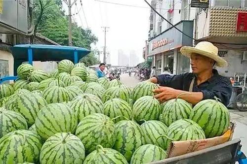 今日武汉白瓜价格多少,实惠之选，市民青睐”