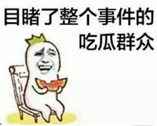 今日吃瓜专插本,揭秘专插本背后的那些事儿