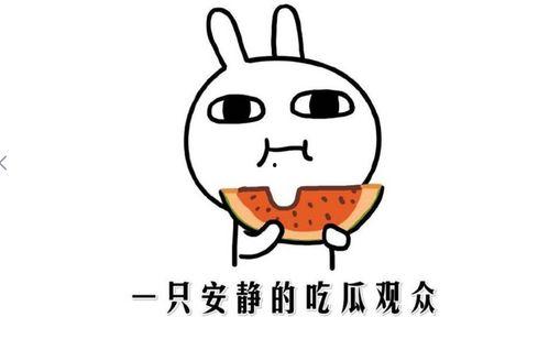 热门事件黑料吃瓜网,黑料吃瓜网带你一探究竟