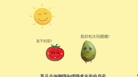 为什么吃黑瓜就去晒太阳,揭秘健康饮食与阳光活力的奥秘