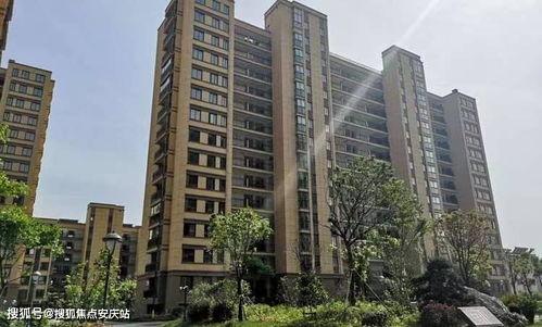 首衡蜜瓜今日价格行情查询,市场动态一览”