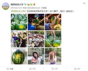 吃瓜爆料大学,吃瓜爆料，大学生活那些事儿