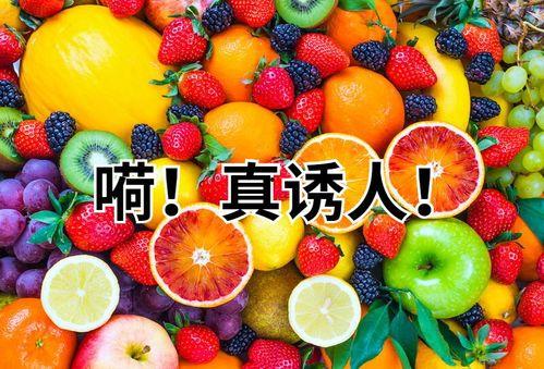 水果吊瓜今日行情,价格波动与市场动态一览