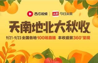 今日头条烈焰大王的瓜,揭秘娱乐圈背后的惊人真相