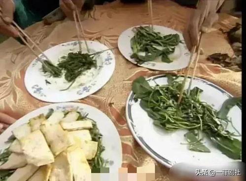 爆料吃瓜酒店,吃瓜群众齐聚的神秘酒店幕后故事