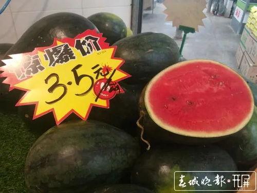 吃料黑瓜网,美食探索之旅