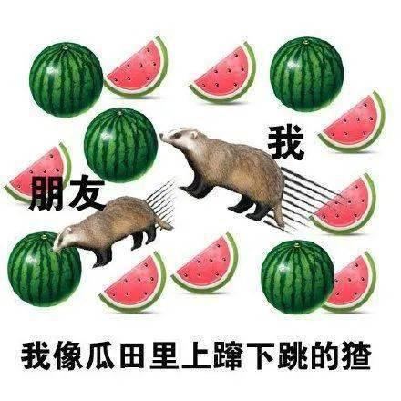 瓜兄今日吃瓜,揭秘娱乐圈最新热点事件