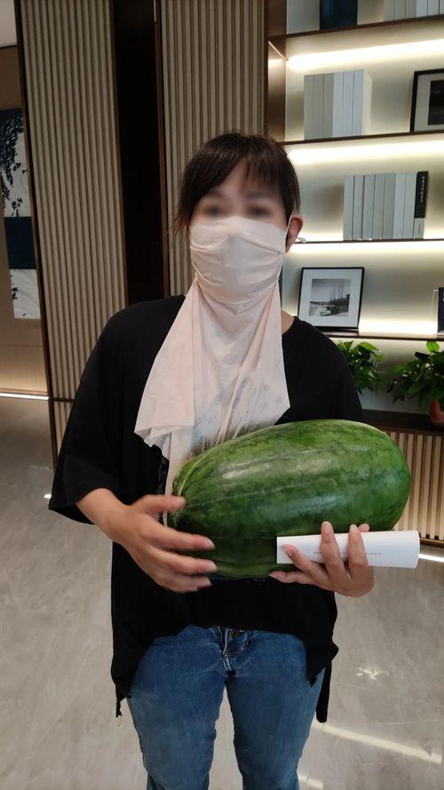 今日份大瓜,娱乐圈重磅爆料，揭秘明星幕后真相