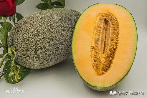 伽师瓜今日价格表,品质佳、口感好，价格实惠