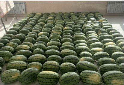 校园爆料吃瓜,揭秘校园里的那些“秘密”事件