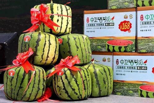 硒砂瓜今日行情,价格波动与市场动态一览