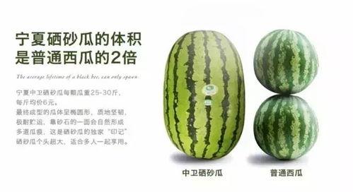 硒砂瓜今日行情,价格波动与市场动态一览