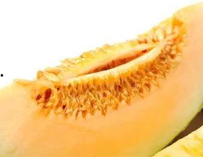 现在可以吃黑蜜瓜吗有毒吗,现在可以放心享用吗？