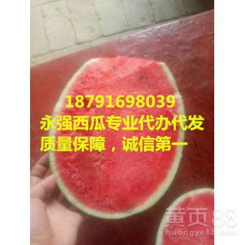 无子瓜价格今日市场价,无子瓜价格行情一览