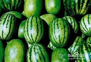 无子瓜价格今日市场价,无子瓜价格行情一览