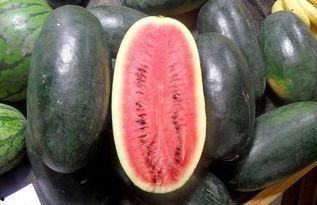 黑料正能量网红吃瓜群,揭秘网红吃瓜群的神秘世界