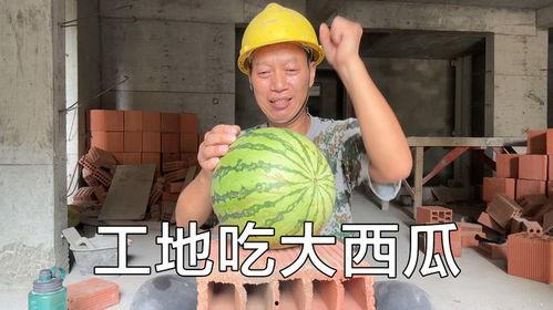 9.1吃瓜今日吃瓜必吃,今日必尝的瓜界盛宴