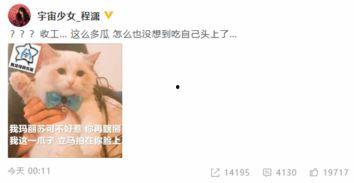 吃瓜爆料程潇,吃瓜爆料背后的明星生活揭秘