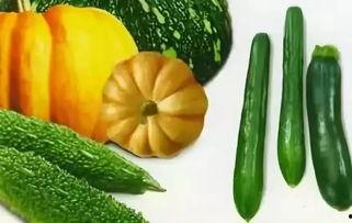 吃瓜黑科技什么意思,网络时代下的信息传播新趋势