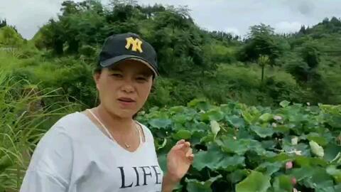 徐大姐吃瓜爆料