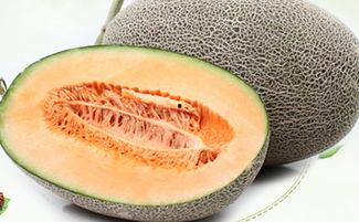 吃哈密瓜会卡黑便吗