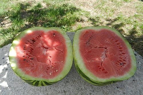 梦见吃黑瓜,揭秘吃黑瓜的神秘寓意