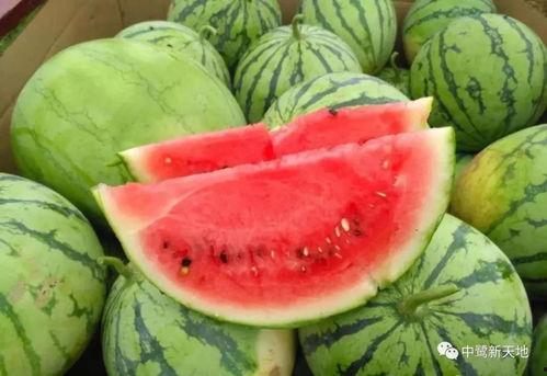 柳州今日吃瓜事件最新进展,最新进展揭秘！