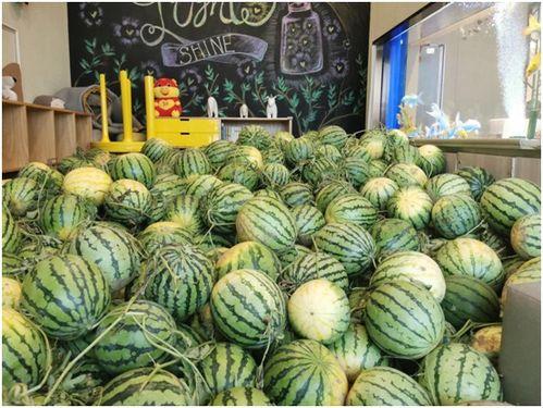 柳州今日吃瓜事件最新进展,最新进展揭秘！