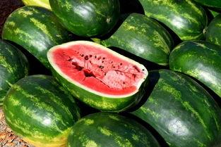 今日吃瓜下栽,揭秘娱乐圈幕后故事