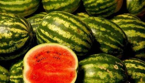 西瓜吃瓜黑料怎么做,真相与误解的碰撞